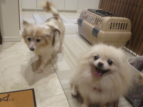 2020(R2)-9-12 ¤ª»¶Êâ½àÈ÷ (7)