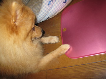 �Ҥ���ܡ��ɡ���