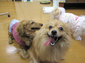 �Ǹ�Υȥ�ߥ�