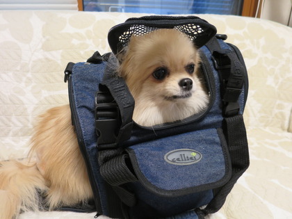 �����ե�� (5)