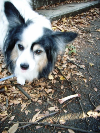 �����ä���02