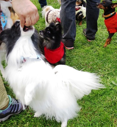 2017-11-3 卒オフ会 (64)