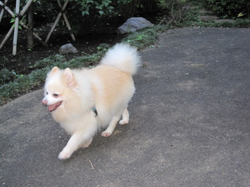 ���Ƥ�������