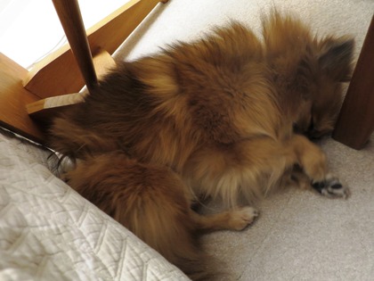 2019(H31)-2-9 傍に居たいの (7)