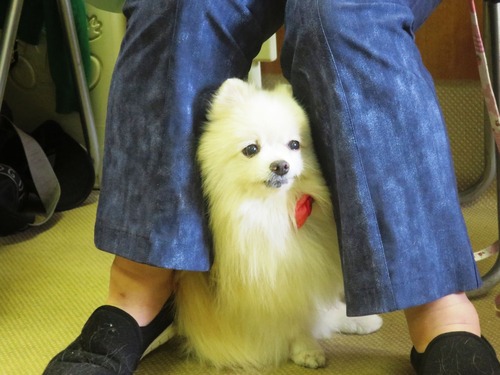 2019(R1)-7-20 Âè58²óΤ¿Æ²ñ(Áã³û) (1)