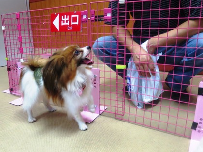 2014(H26)-7-19 ���Τ�Ʋ� (3)