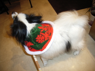 ���ӥ�˥��ꥹ�ޥ�������