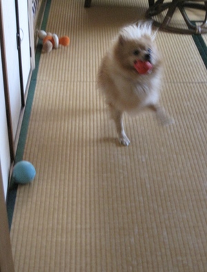 和室で 3