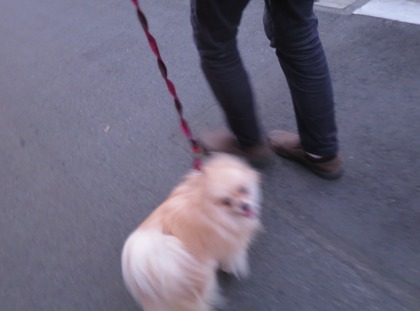 2017{H29}-7-19 ������Υȥ饤���� (9)