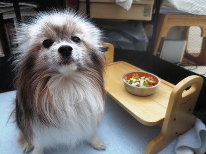 2019(R1)-6-14 朝ご飯モリモリで楽しい外出 (3)