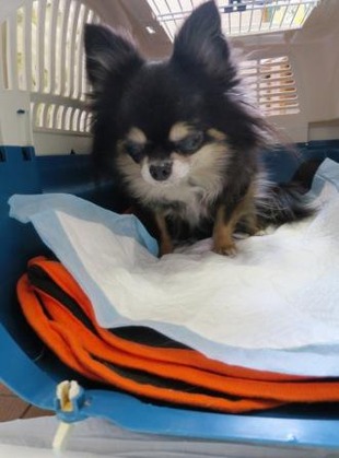 2018(H30)-2-24 退院翌日 (5)