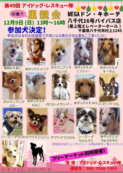 ¥É¥ó¥Î¤¿Æ²ñ»²²Ã¸¤