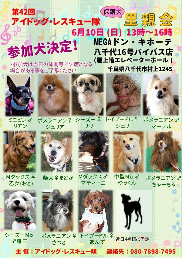 第42回アイドッグ レスキュー隊里親会 君と出逢えて