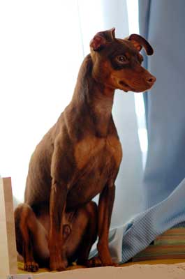 20061109224420.jpg