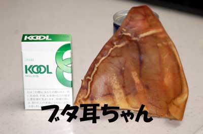 20061207181748.jpg