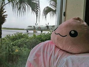 雨を見つめるポリン