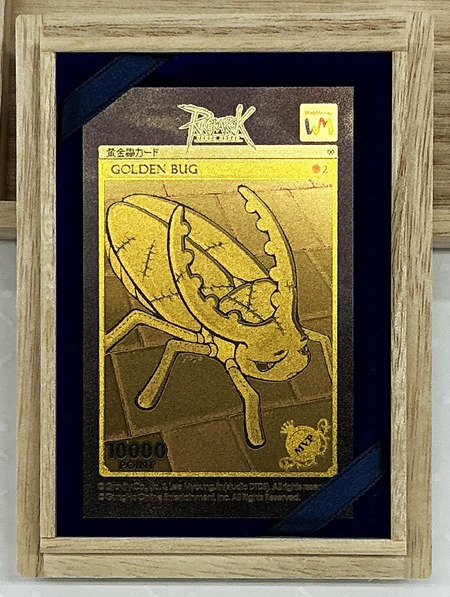 �ꥢ�벫��굥�����