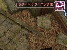 ホワイトインプリズン