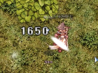 極楽鳥はちょっと強い