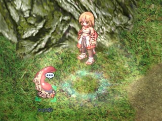 たこ?