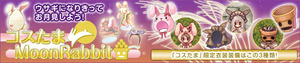 うさぎ