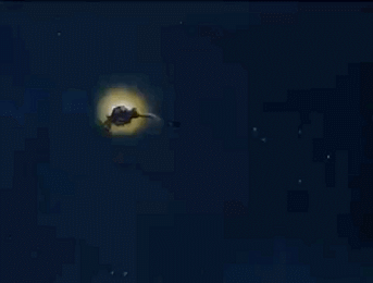 GIF 2025-07-31 20-09-33