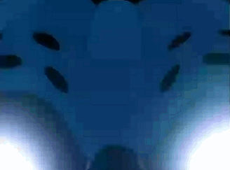 GIF 2025-11-14 19-18-41