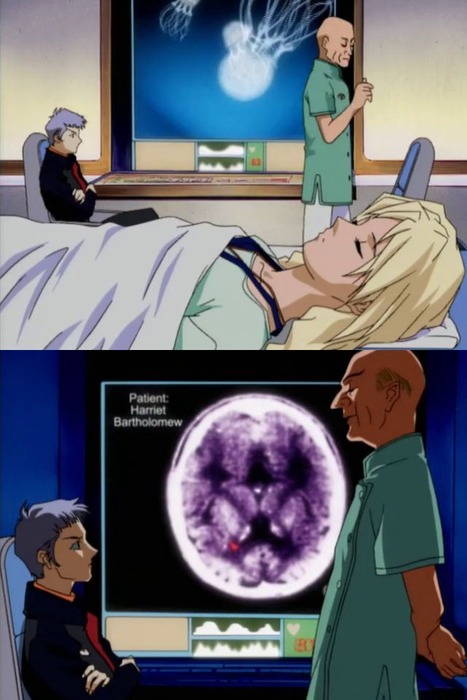 vlcsnap-2024-11-29-22h04m35s716