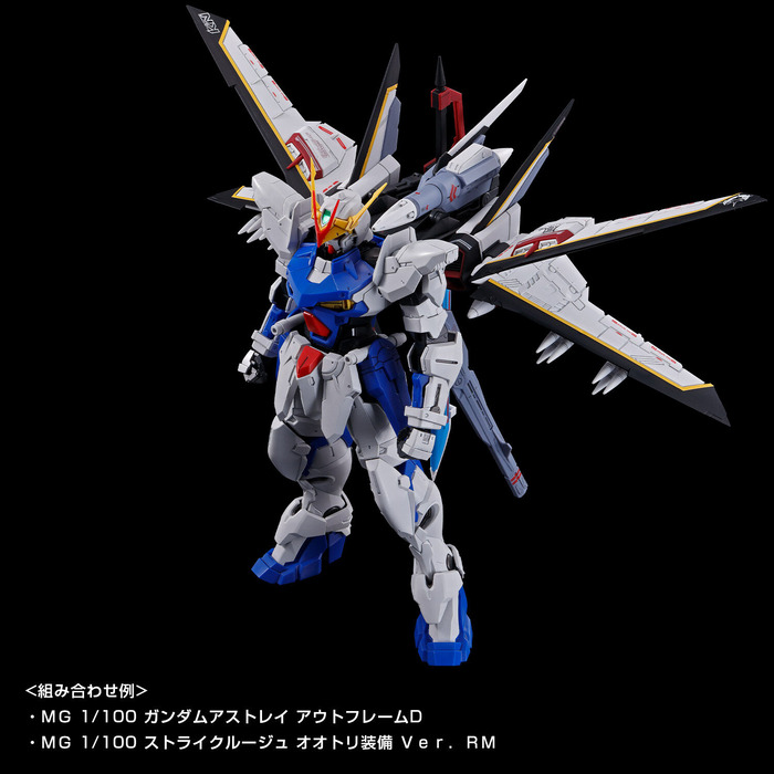 20221202_mg_astray_outframeD_popup_04striker