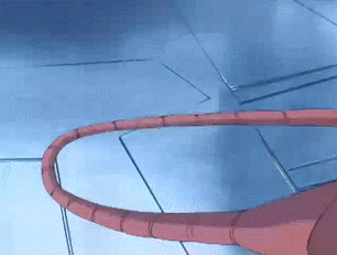 GIF 2024-11-12 19-55-56