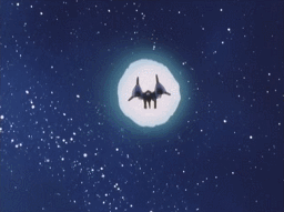 GIF 2024-03-05 20-11-18