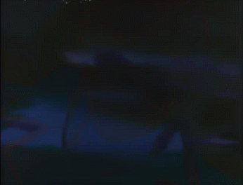 GIF 2023-05-23 23-24-50