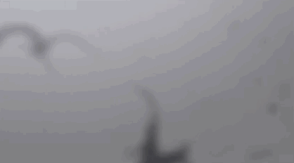 GIF 2025-12-14 0-59-36