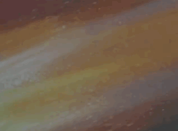 GIF 2026-04-22 4-42-52