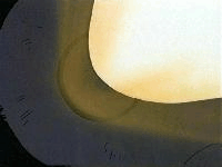 c77d2e68