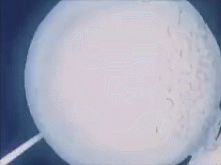 GIF 2024-03-05 20-18-25