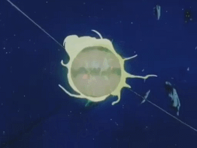 GIF 2022-07-24 19-54-12
