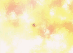 GIF 2025-10-06 19-47-18