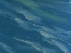 GIF 2024-07-07 21-12-37
