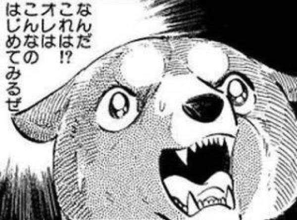 1675747338448