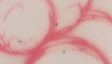 GIF 2023-12-08 21-48-39