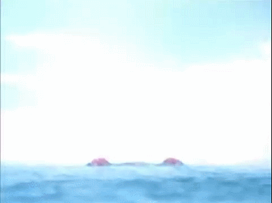 GIF 2022-09-26 18-47-08