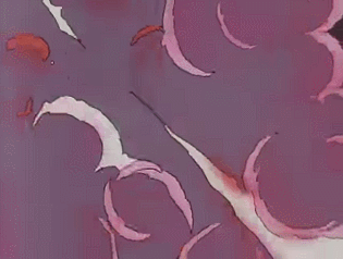 GIF 2023-10-26 15-28-11
