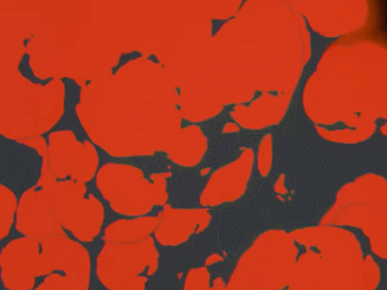 GIF 2023-07-27 19-50-25