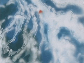 GIF 2025-05-12 23-45-33
