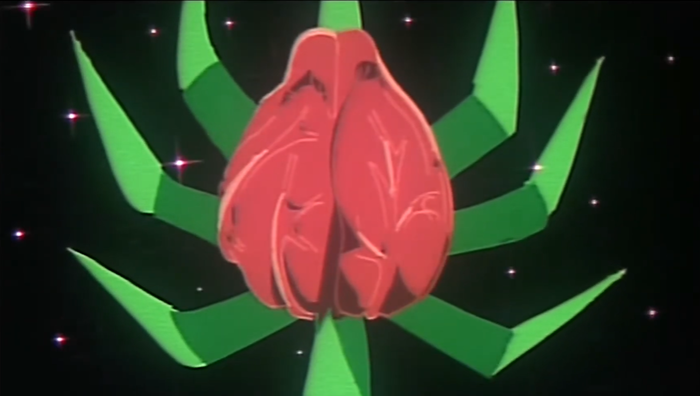 a80395dd7d37a2185c52128f2ff43b43