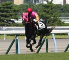 キャプチャ