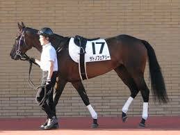 yjimage4Q88XIRE