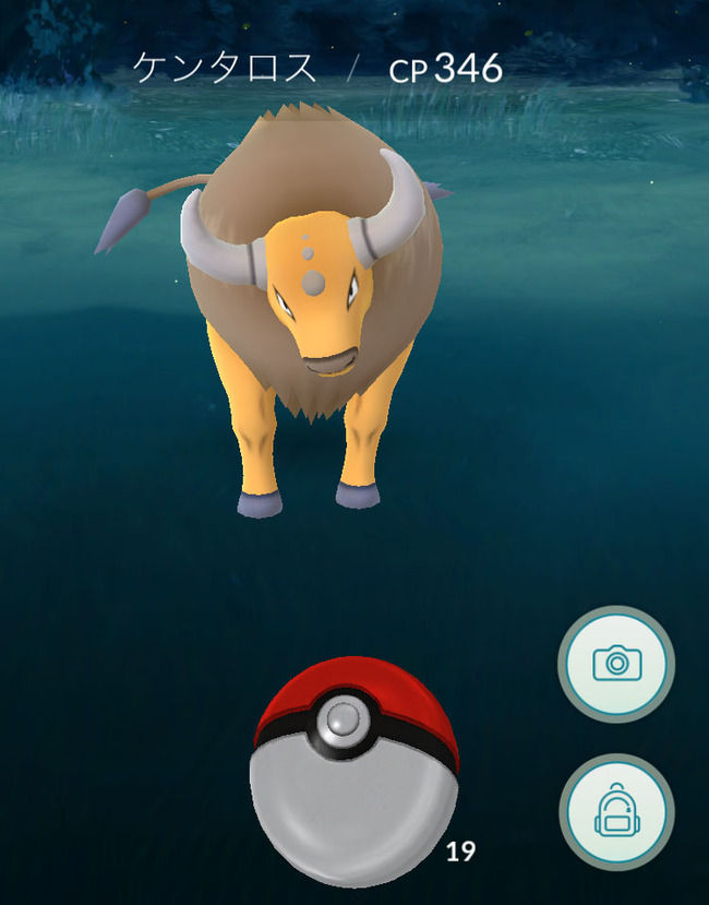 ポケモンgo で アメリカ限定ポケモン のケンタロスを 日本でゲットする方法が判明 なんでも情報局 ちゃぃのラグナロクオンライン日記ブログ For Ragnarok Online Yggdrasillnetworkserver Breidablikworld