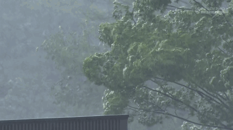 今日のベルーナドームの暴風雨ｗｗｗｗｗｗｗｗ